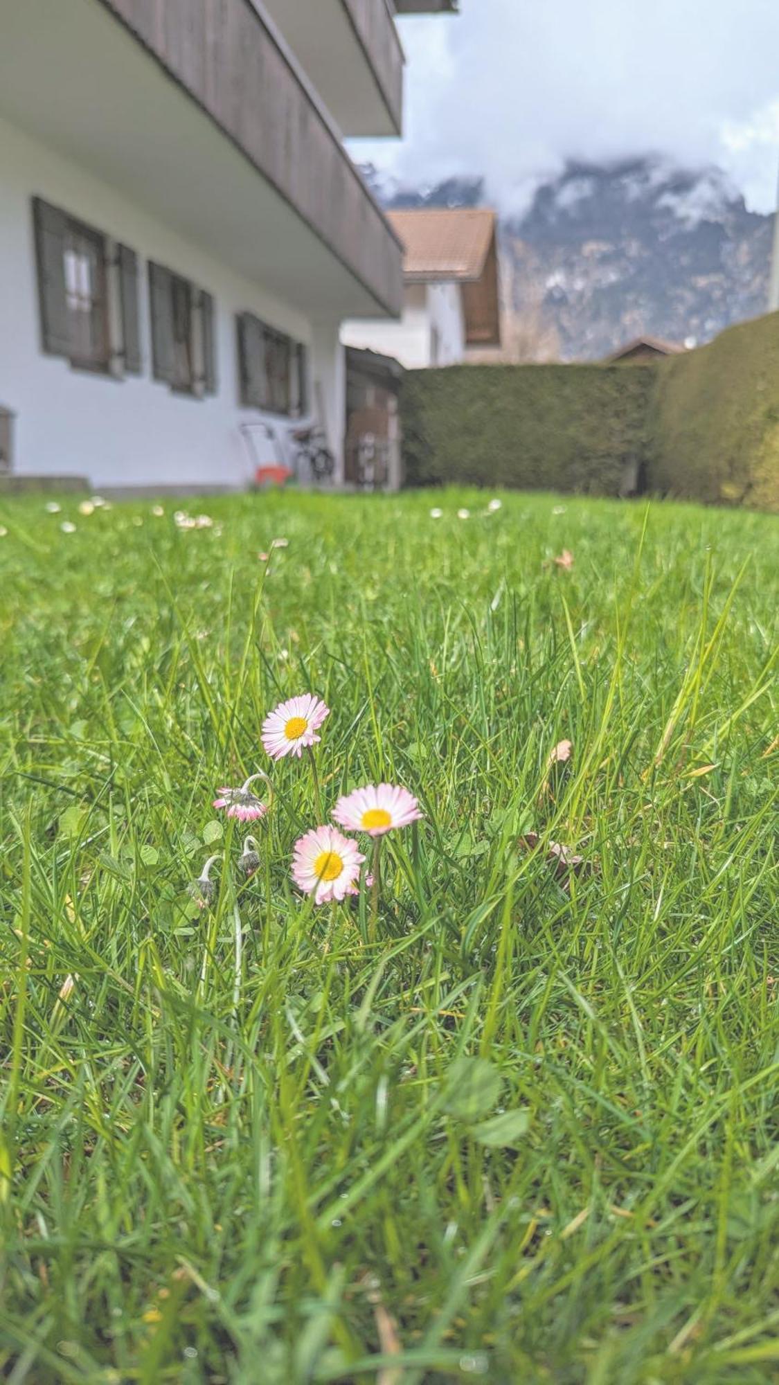 Calm Gap Apartamento Garmisch-Partenkirchen Exterior foto